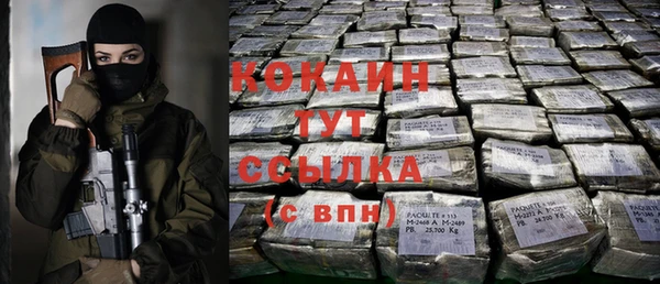 гашик Бородино
