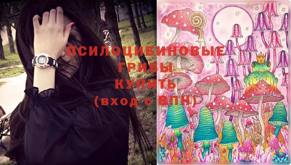 гашик Бородино