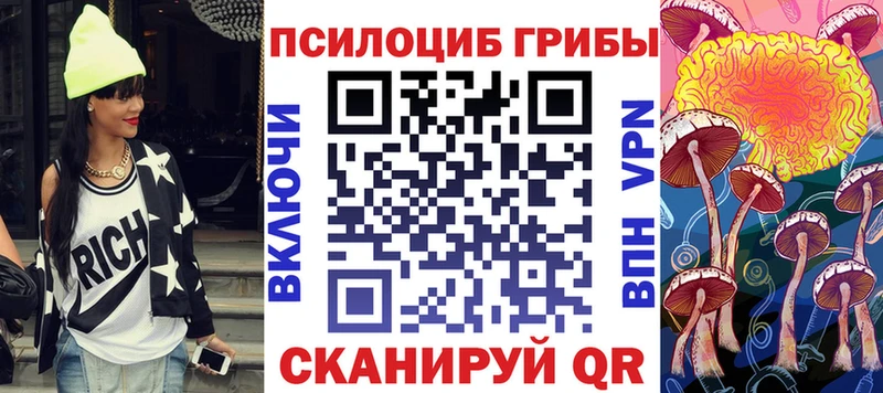 Псилоцибиновые грибы GOLDEN TEACHER  цена наркотик  Качканар 