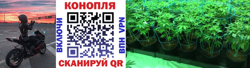 Канабис конопля Качканар